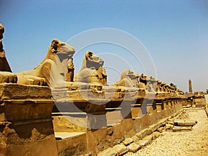 Luxor Temple - Detail