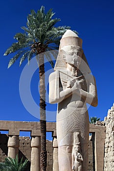 Luxor Temple, Egypt photo