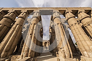 luxor temple in egypt photo