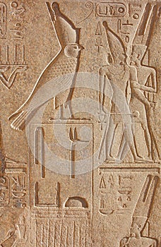 Luxor temple Hieroglyphic