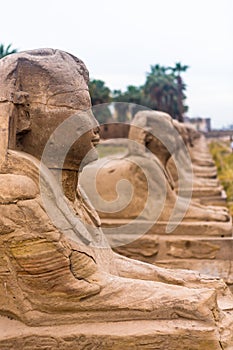 Luxor Temple, Karnak, Egypt.