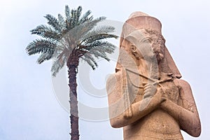 Luxor Temple, Karnak, Egypt.