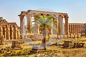 Luxor Temple and a palm tree