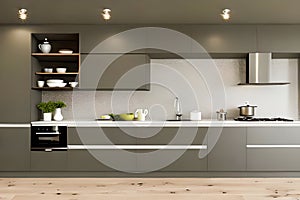 Luxuary Creative Kitchen idea, wall paint color orion olive