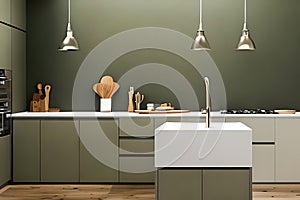 Luxuary Creative Kitchen idea, wall paint color orion olive