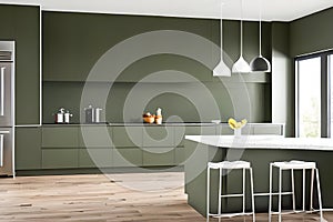 Luxuary Creative Kitchen idea, wall paint color orion olive