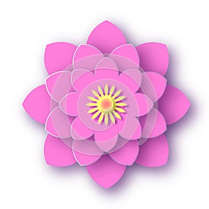 Luxuriant flower on white surface isolated. Pink blooming peony with yellow core and delicate fragrant petals.