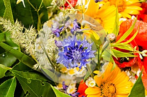 Luxuriant summer bouquet of wildflowers with poppies, daisies, cornflowers closeup.