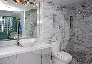 Luxurious bathroom interior