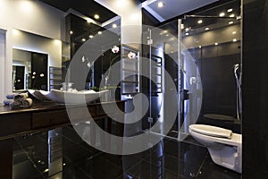 Luxurious bathroom interior