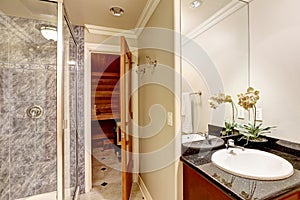 Luxurious bathroom interior design with sauna