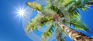 Luxurious beach relaxation palms symbolizing opulence for aesthetes desiring a lavish lifestyle photo