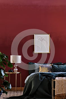 Luxurious bedroom interior