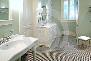 Luxurious black and white bathroom