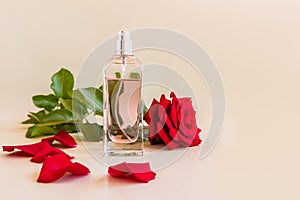 A luxurious bottle of women`s perfume with notes of rose . delicate floral fragrance. the expression of natural odors. beige