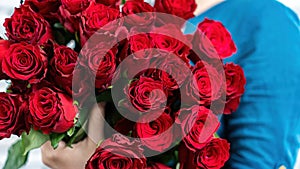 Luxurious bouquet of red roses close up. The girl is holding a large bouquet of flowers in her hands. Harmonious combination of