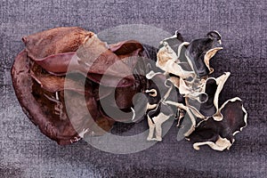 Luxurious dark jew's ear background.