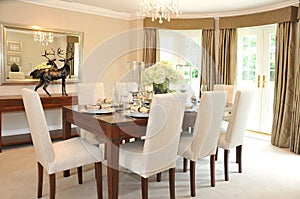 Luxurious Dining Room