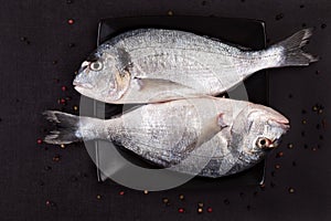 Luxurious fish on black plate.