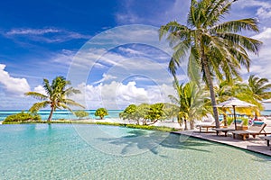 Luxurious five stars holiday resort infinity jungle pool on tropical paradise island. sunny weather, palm trees blue sea