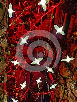 luxurious floral decorations with lights for a wedding at night