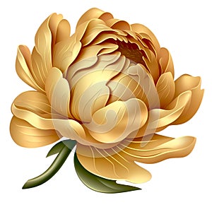 Luxurious Gold Peony: Elegant Floral Illustration.