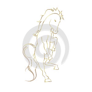 Luxurious golden border Horse skittish on white background photo
