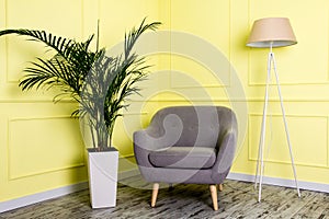 Luxurious grey armchair in classic style in the room with the palm tree in the vase and a floor lamp