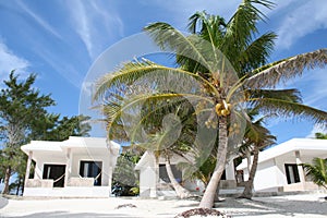 Luxurious Holiday Resort in Tulum Beach - Mexico