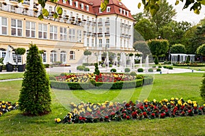 Luxurious hotel garden