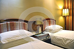 Luxurious Hotel Room