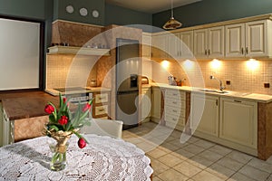 Luxurious Kitchen