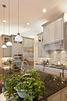 Luxurious kitchen