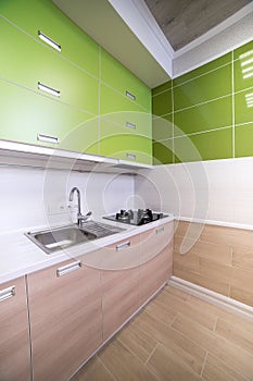 Luxurious laundry in the house with green cupboards, light parquet