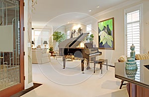 Luxurious living room