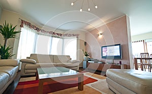 Luxurious living room photo