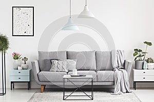 Luxurious living room interior with a grey couch, lamps, coffee