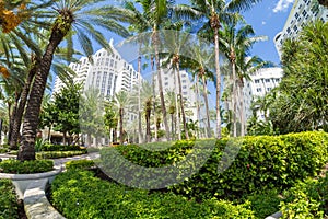 The luxurious Loews Miami Beach Hotel in Miami Beach