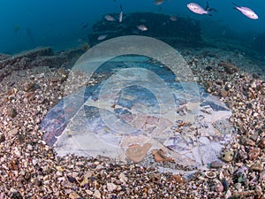 Luxurious marble flooring Emperor Claudioâ€™s Ninfeum. Underwater archeology