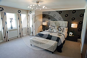 Luxurious master bedroom