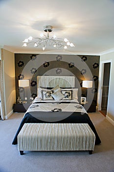Luxurious master bedroom