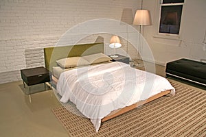 Luxurious Modern Bedroom