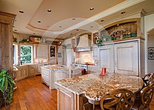 Luxurious modern kitchen