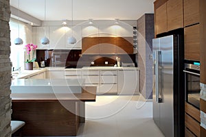 Luxurious modern kitchen