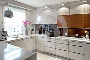 Luxurious modern kitchen