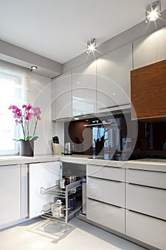 Luxurious modern kitchen