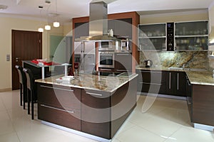 Luxurious modern kitchen