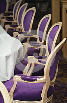 Luxurious Purple Chairs in Formal Dining Room