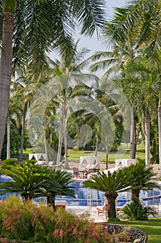 Luxurious resort pool