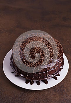 Luxurious Rich Chocolate Cake on White Plate